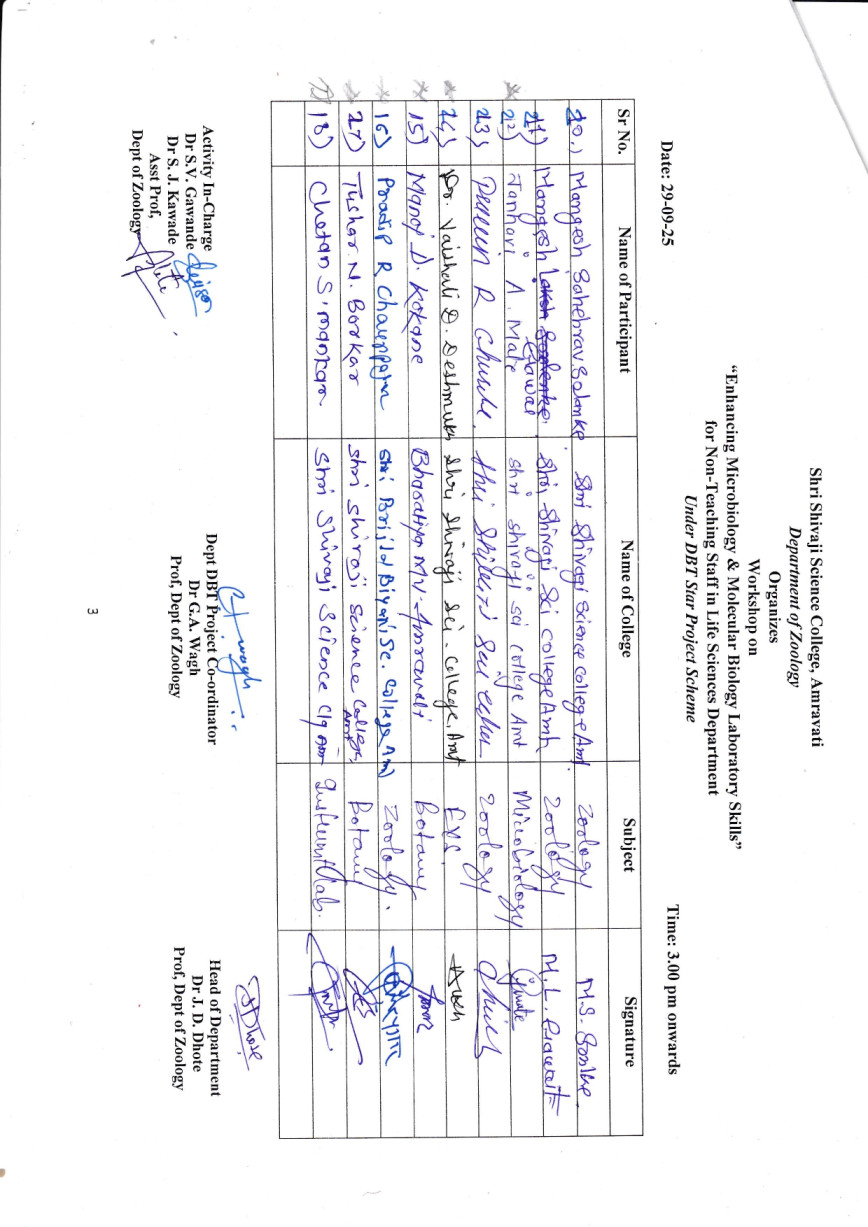 Sheet