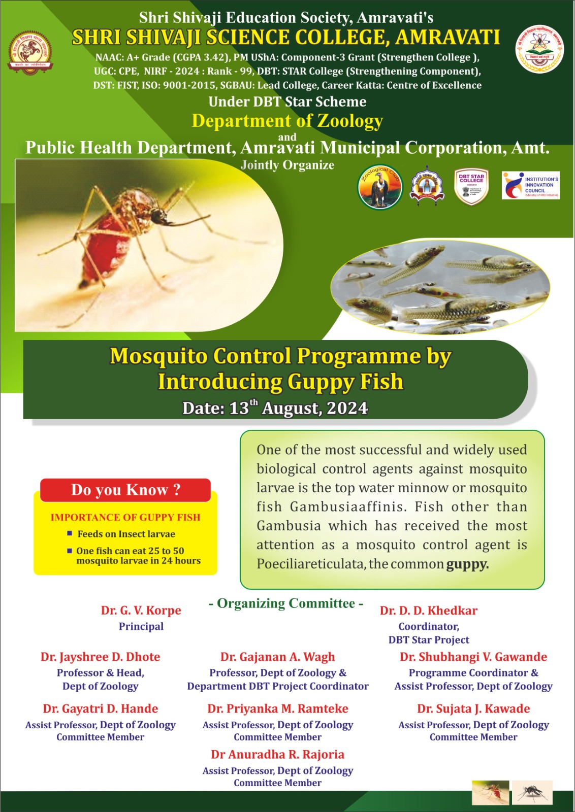 Flyer