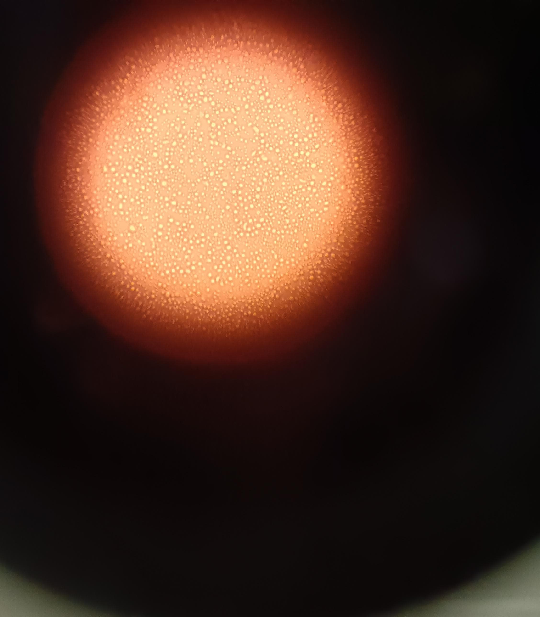 View under microscope