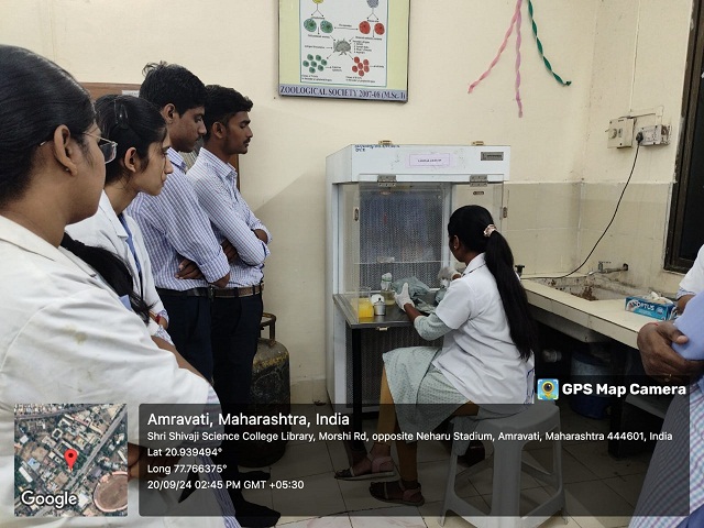 Demonstration of inoculation process