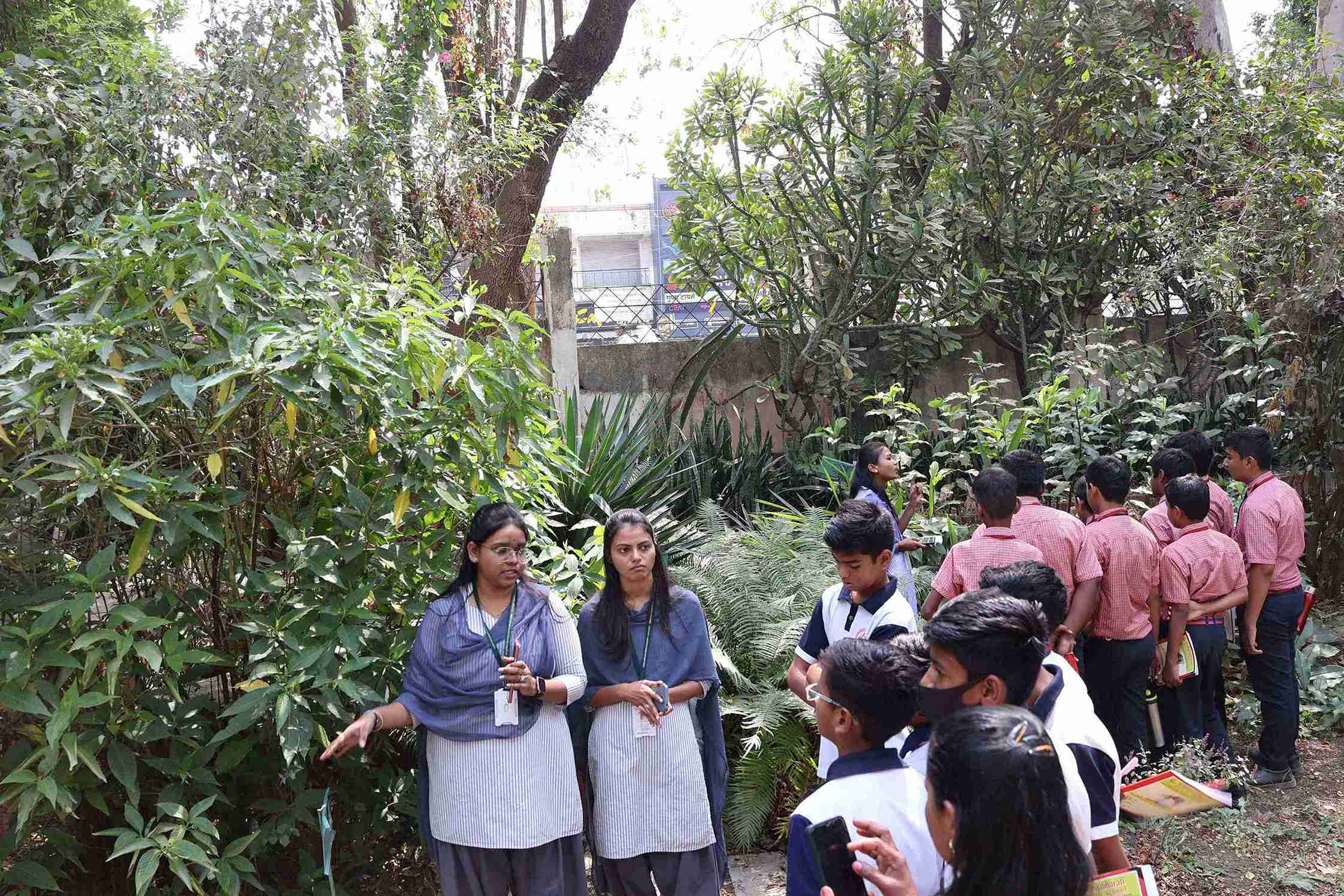 Students visited and studing properties of Adathoda vasica plant