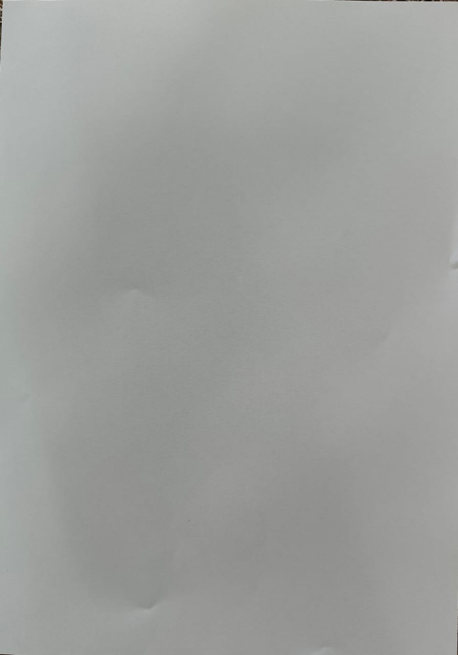 Blank