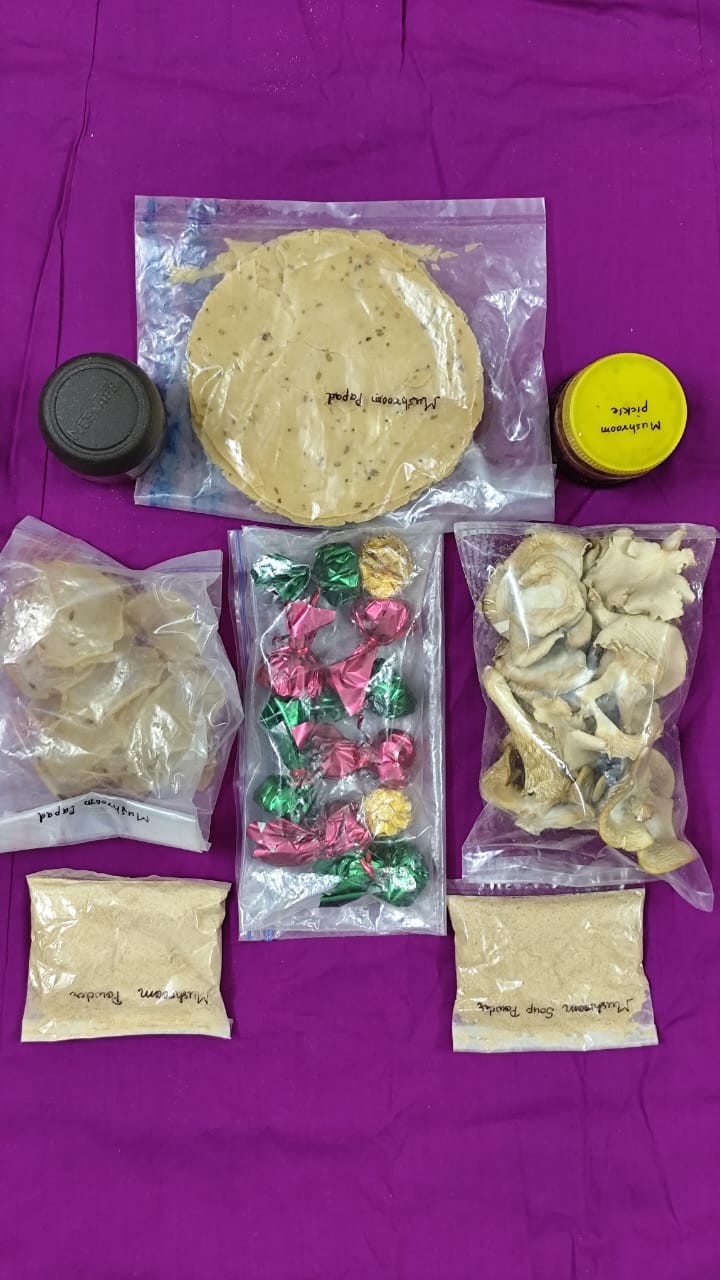 Homemade product from mushroom