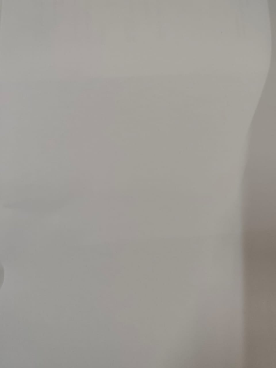 Blank