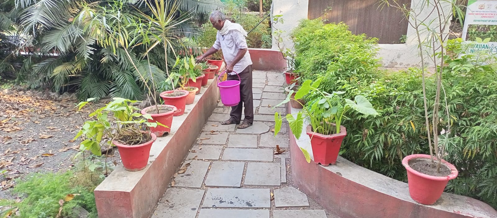 Distribution of Trichoderma, Mycorrhiza, Organic Waste Decomposer, NPK to  Collage Flora