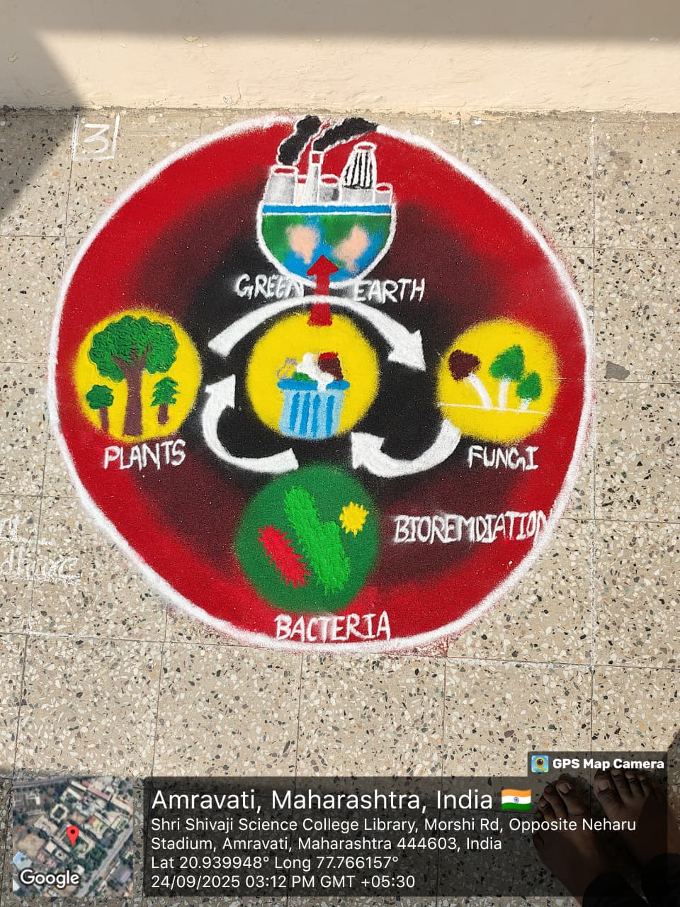 Creativity inspired by microbiology